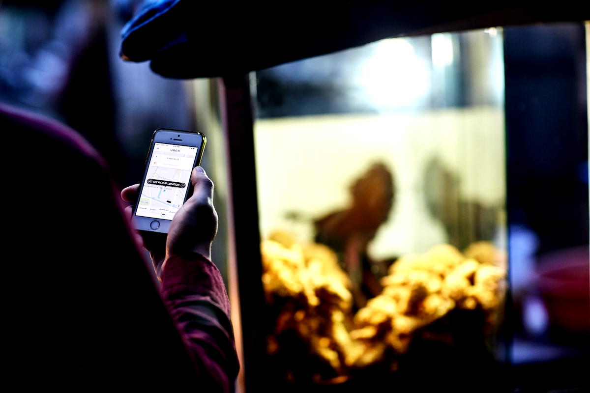Friendly driver helping a passenger
